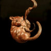 Dormouse II (Climbing) by Kelly John