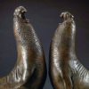 Elephant Seals (Beachmasters) by Kelly John