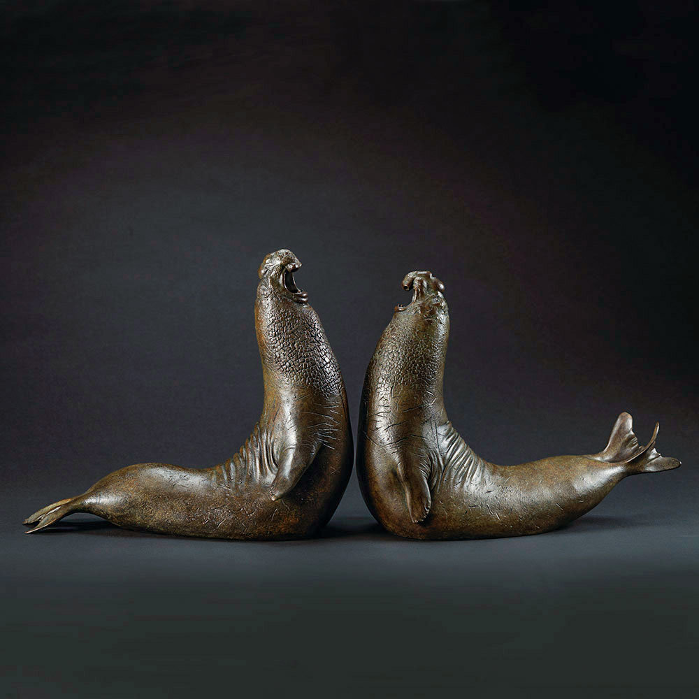 Elephant Seals (Beachmasters) by Kelly John