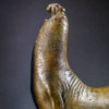 Elephant Seal 2 by Kelly John