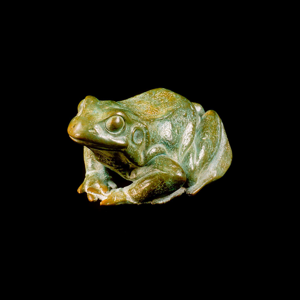Frog by Kelly John