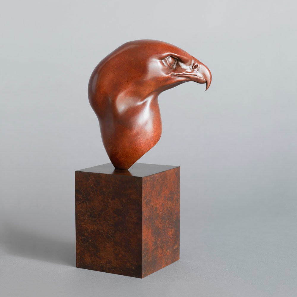 Golden Eagle Head by Kelly John