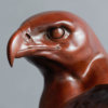 Golden Eagle Head by Kelly John