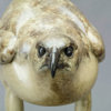 Goshawk by Kelly John