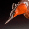 Great Crested Grebe by Kelly John