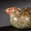 Grey Partridge by Kelly John