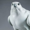Gyrfalcon by Kelly John