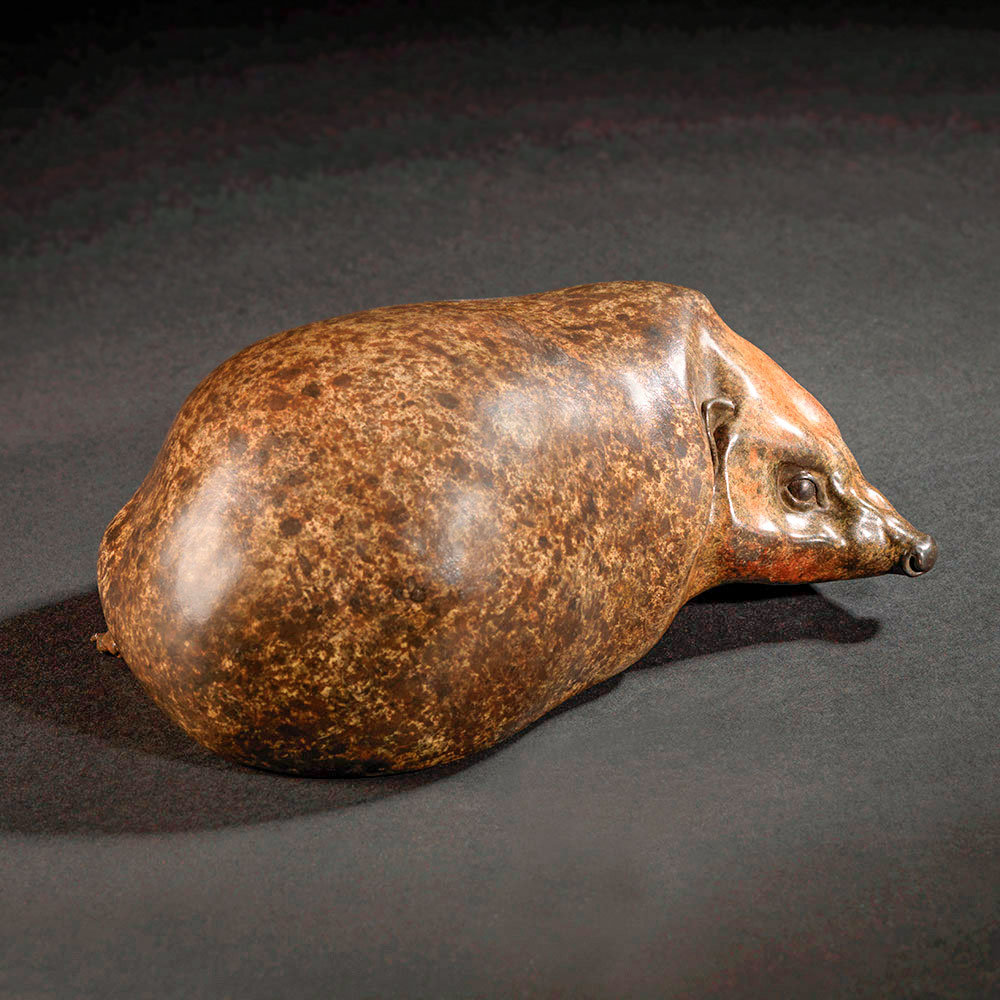 Hedgehog by Kelly John