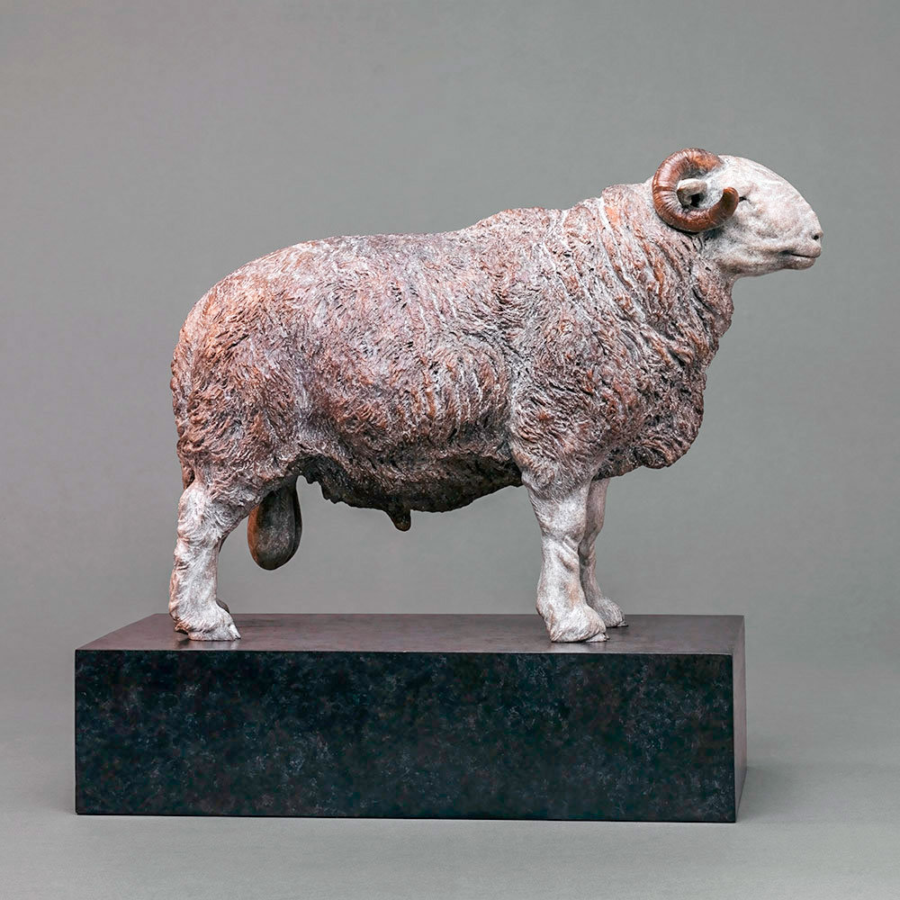 Herdwick Sheep by Kelly John