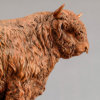 Highland Bull (Eric) by Kelly John