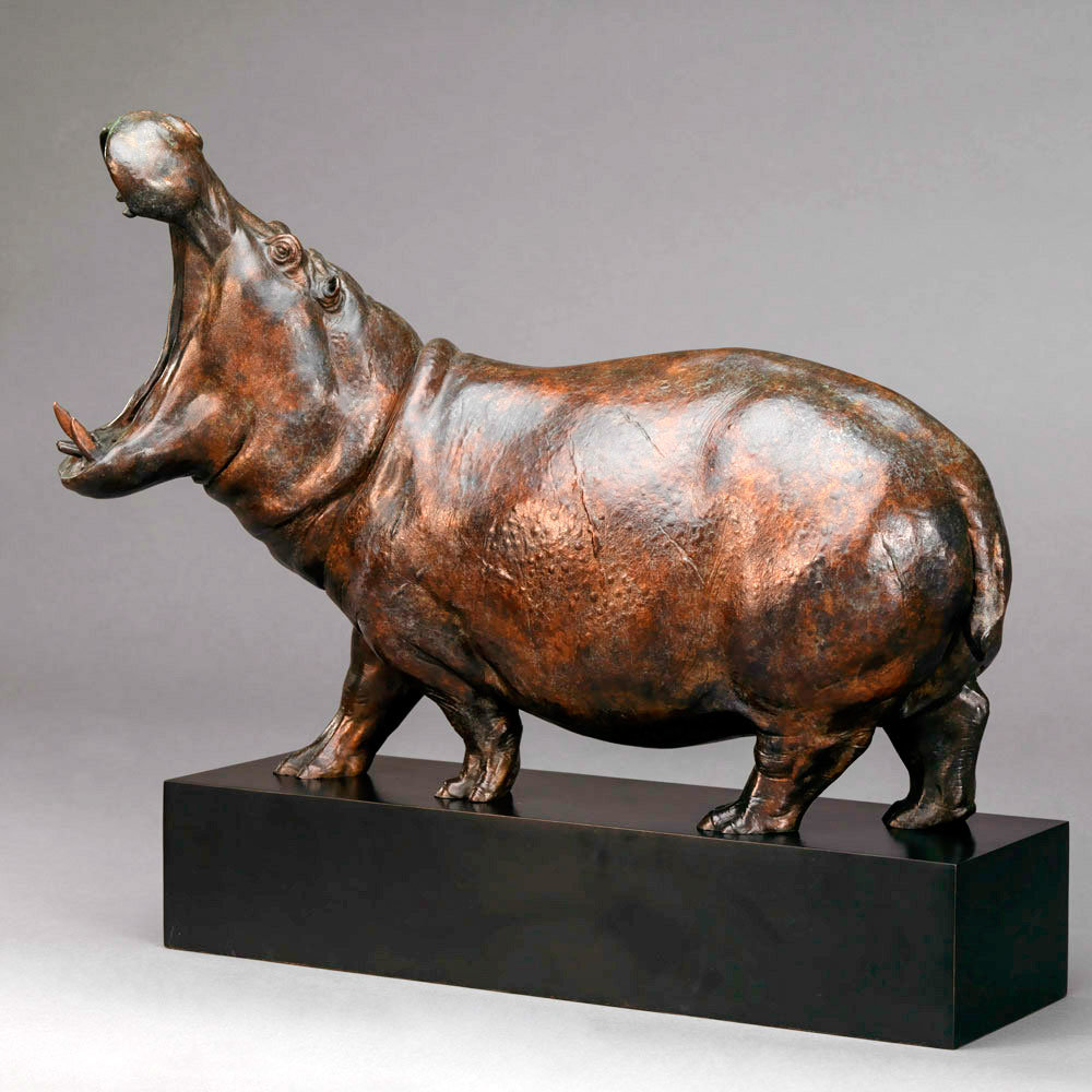 Hippopotamus Bull by Kelly John