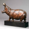 Hippopotamus Bull by Kelly John