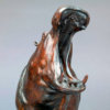 Hippopotamus Bull by Kelly John