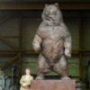 Kodiak Brown Bear (Indomitable) by Kelly John