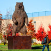 Kodiak Brown Bear (Indomitable) by Kelly John