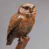 Little Owl by Kelly John