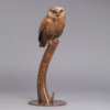 Little Owl by Kelly John