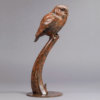 Little Owl by Kelly John