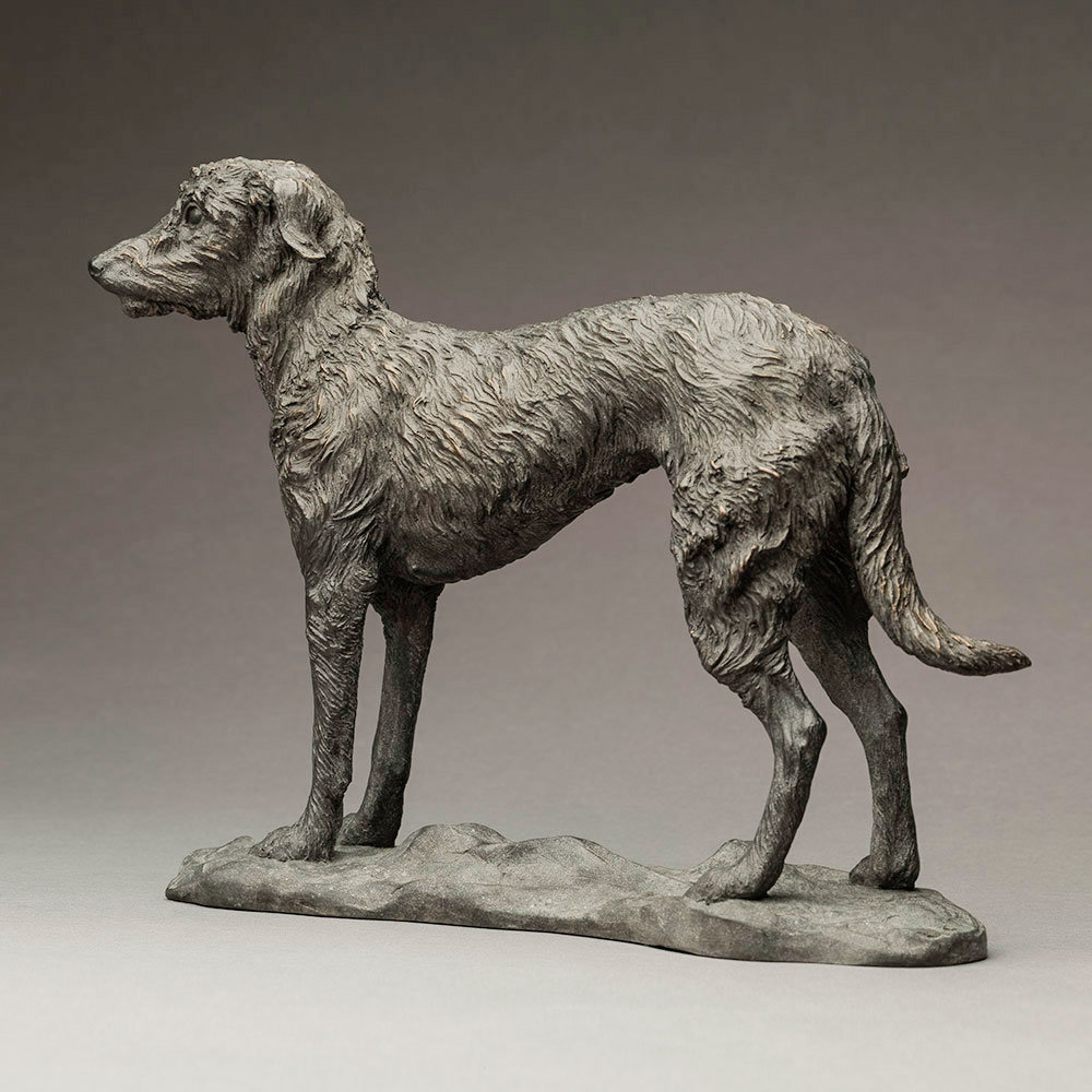 Lurcher (Grace) by Kelly John