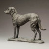Lurcher (Grace) by Kelly John