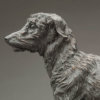 Lurcher (Grace) by Kelly John