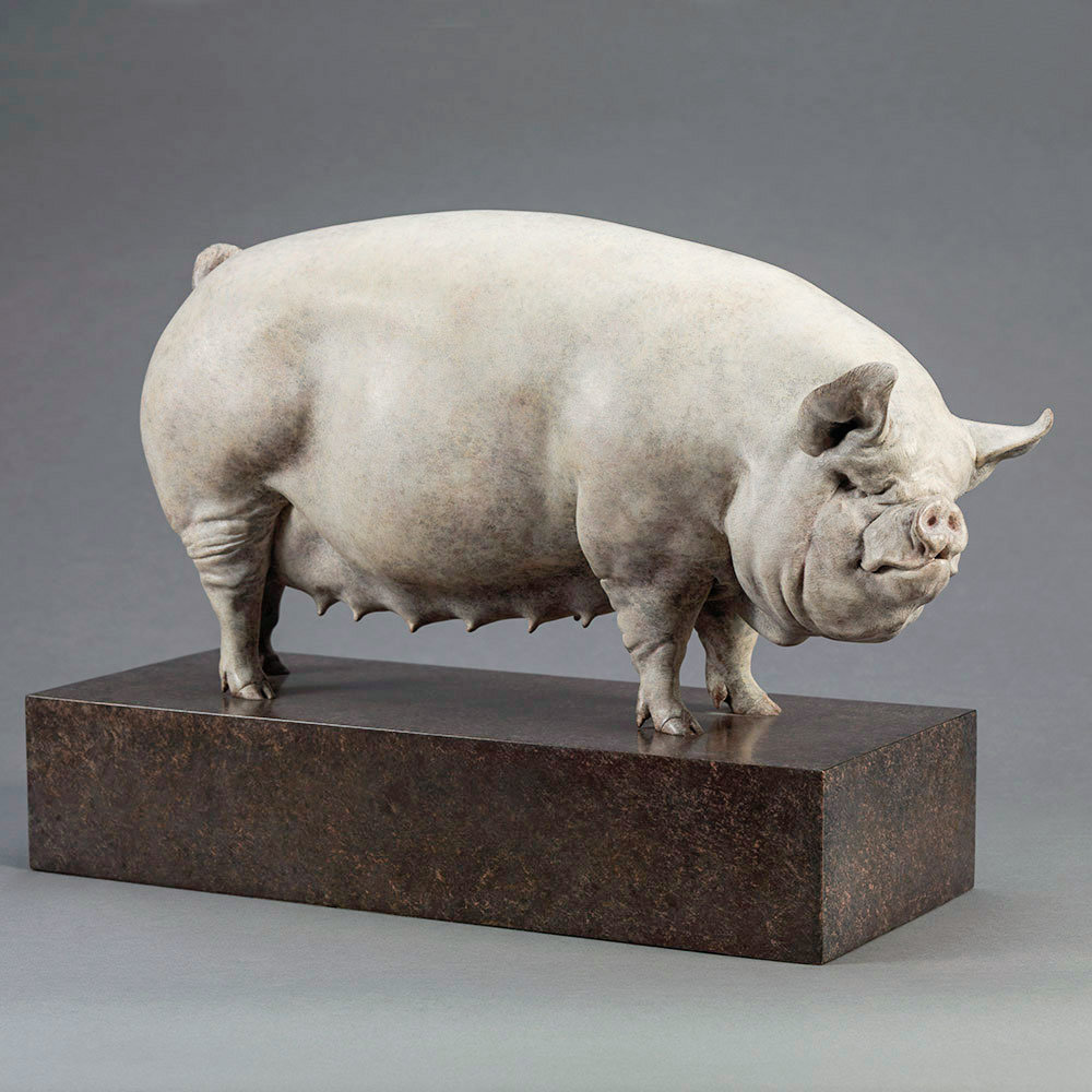 Middle White Pig (Alice) by Kelly John