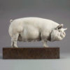 Middle White Pig (Alice) by Kelly John