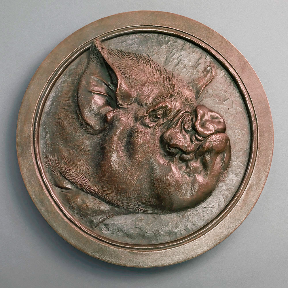 Middle White Pig (Truffles) by Kelly John