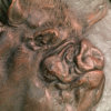 Middle White Pig (Truffles) by Kelly John