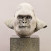 Mountain Gorilla (Silverback) by Kelly John