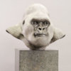 Mountain Gorilla (Silverback) by Kelly John