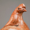 Old English Game Cock Bantam by Kelly John