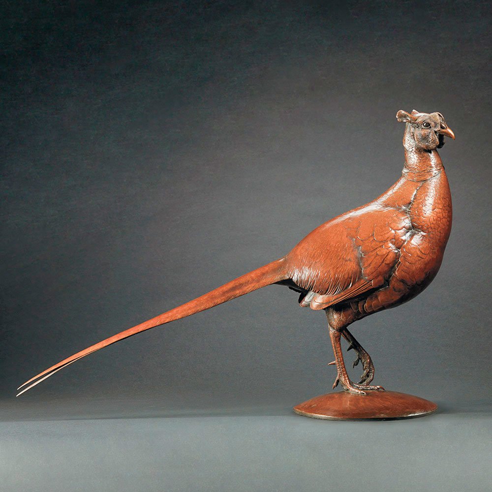 Pheasant by Kelly John