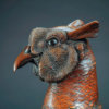 Pheasant by Kelly John