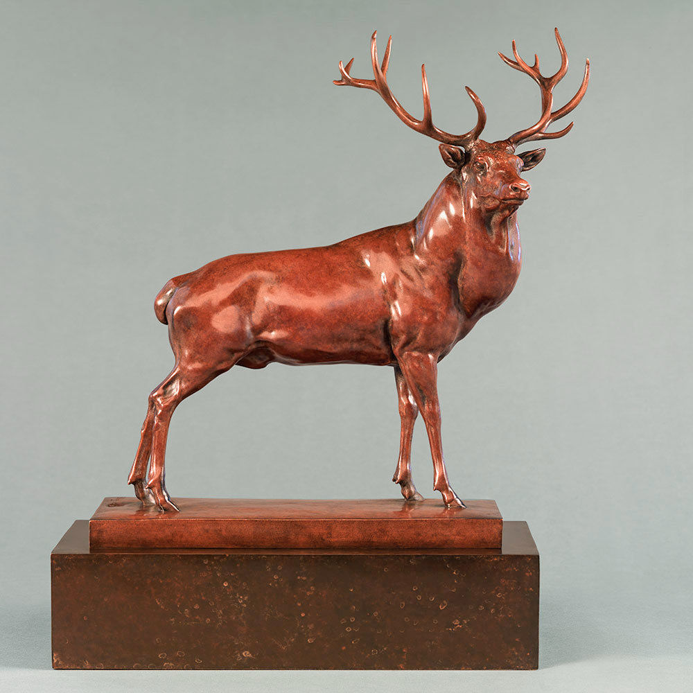 Red Deer Stag (The Emperor of Exmoor) by Kelly John