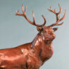 Red Deer Stag (The Emperor of Exmoor) by Kelly John