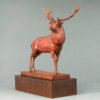Red Deer Stag (The Emperor of Exmoor) by Kelly John