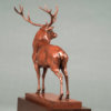 Red Deer Stag (The Emperor of Exmoor) by Kelly John
