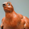 Red Grouse by Kelly John