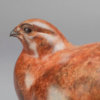 Red Grouse II by Kelly John