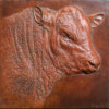Red Ruby Devon Bull (Elmford Discretion) by Kelly John