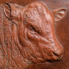 Red Ruby Devon Bull (Elmford Discretion) by Kelly John