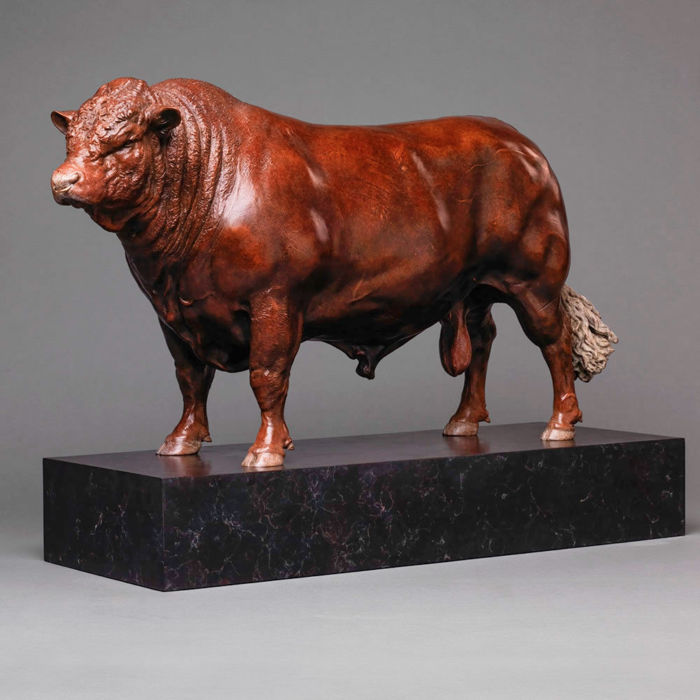 Red Ruby Devon Bull (Yeomadon Ferdinand) by Kelly John