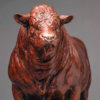 Red Ruby Devon Bull (Yeomadon Ferdinand) by Kelly John