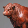 Red Ruby Devon Bull (Yeomadon Ferdinand) by Kelly John