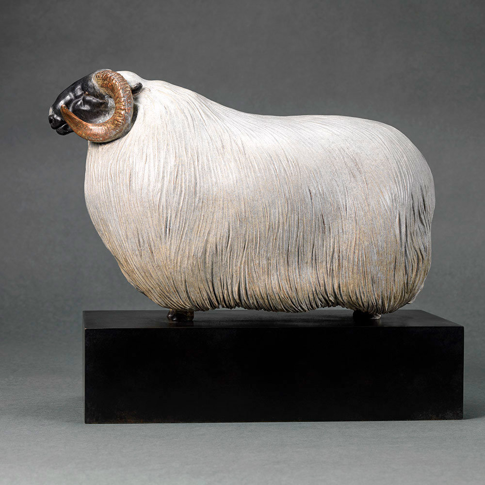 Scottish Blackface Sheep (Moortown JJ) by Kelly John