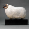 Scottish Blackface Sheep (Moortown JJ) by Kelly John