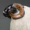 Scottish Blackface Sheep (Moortown JJ) by Kelly John
