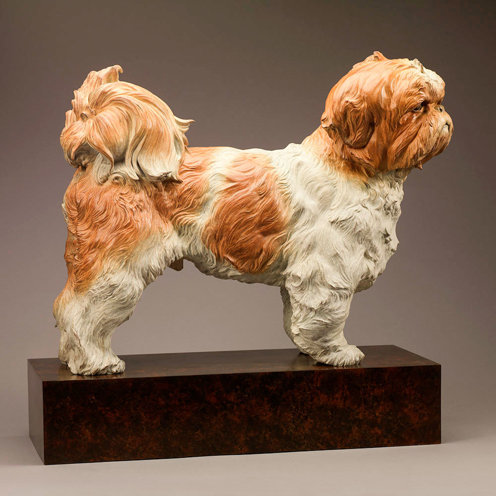 Shih Tzu (Bertie) by Kelly John