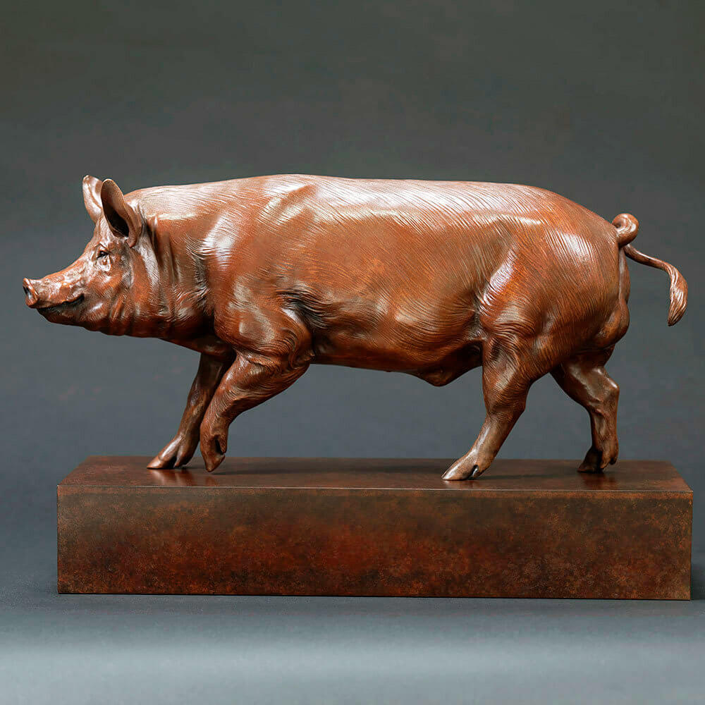 Tamworth Pig (Crane Glen III) by Kelly John